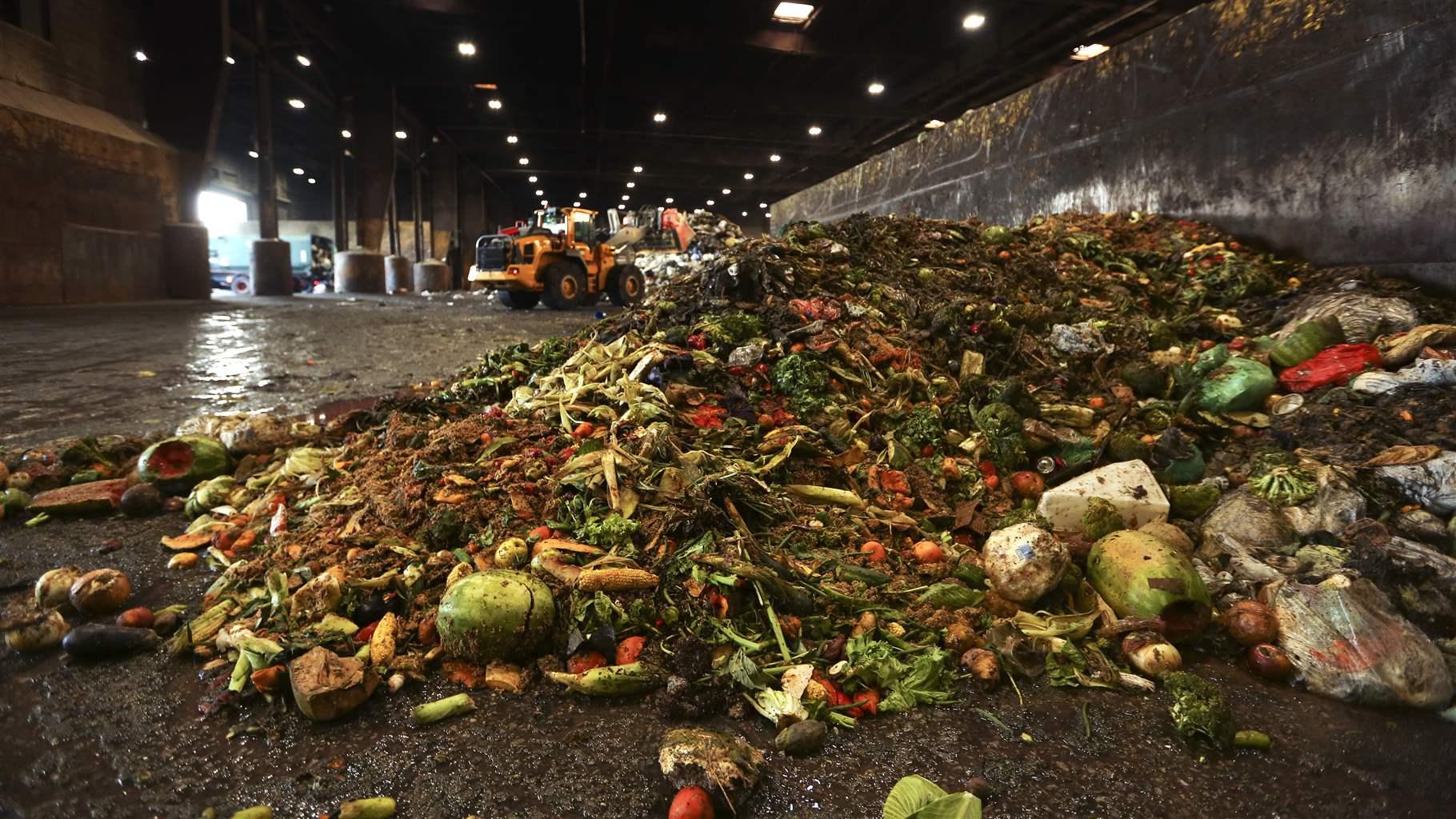 Anaerobic Digestion: Turning Organic Waste into Energy