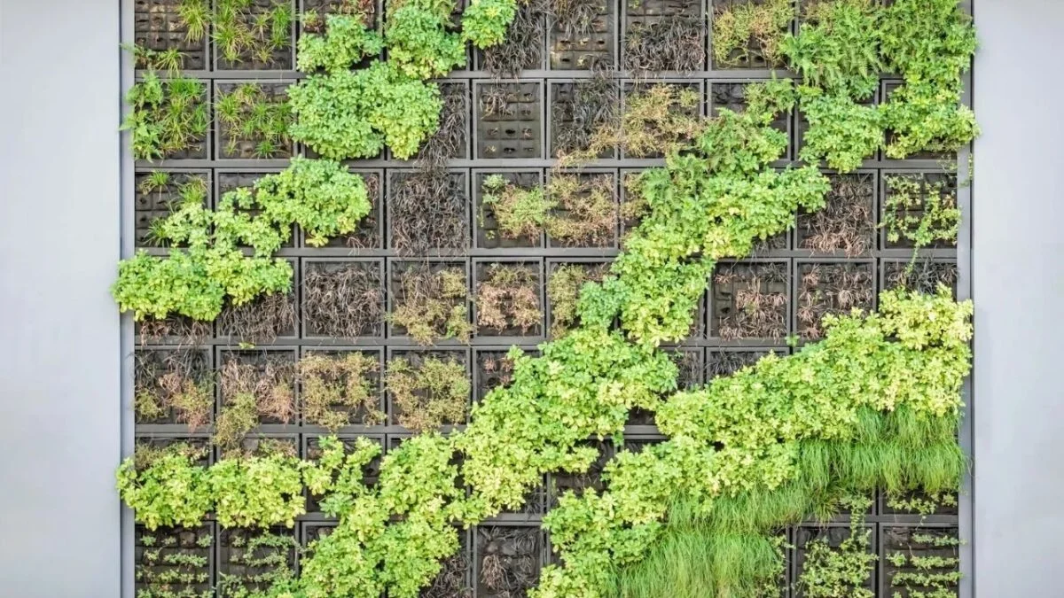 Step-by-Step Guides for Building Your Vertical Garden