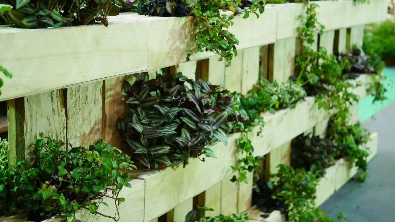 Building a Vertical Garden Frame