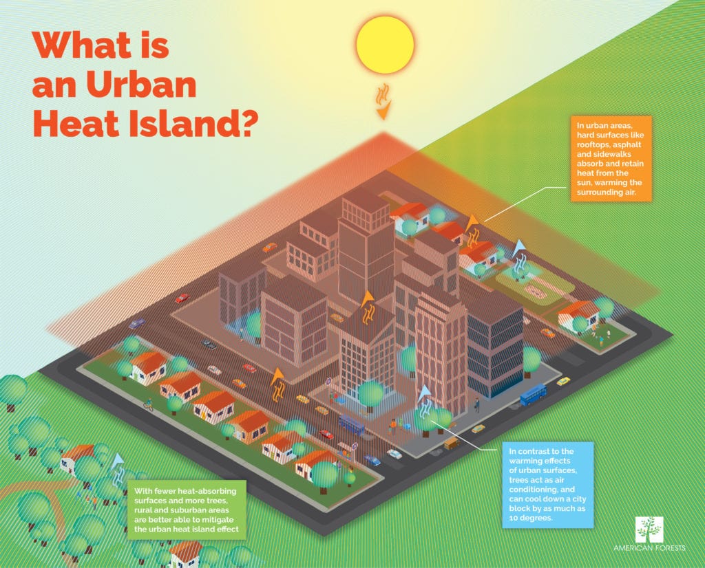 Vertical Gardens: A Green Solution to Urban Heat Islands