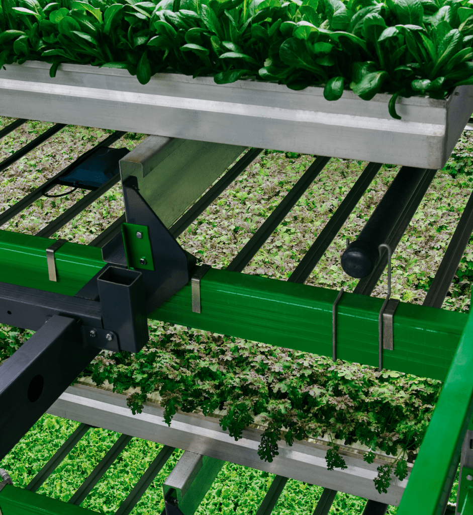 Economic Advantages of Vertical Farming