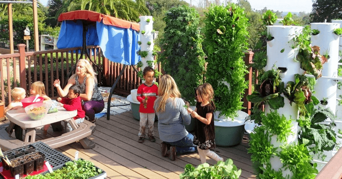 Vertical Farms in Schools and Universities