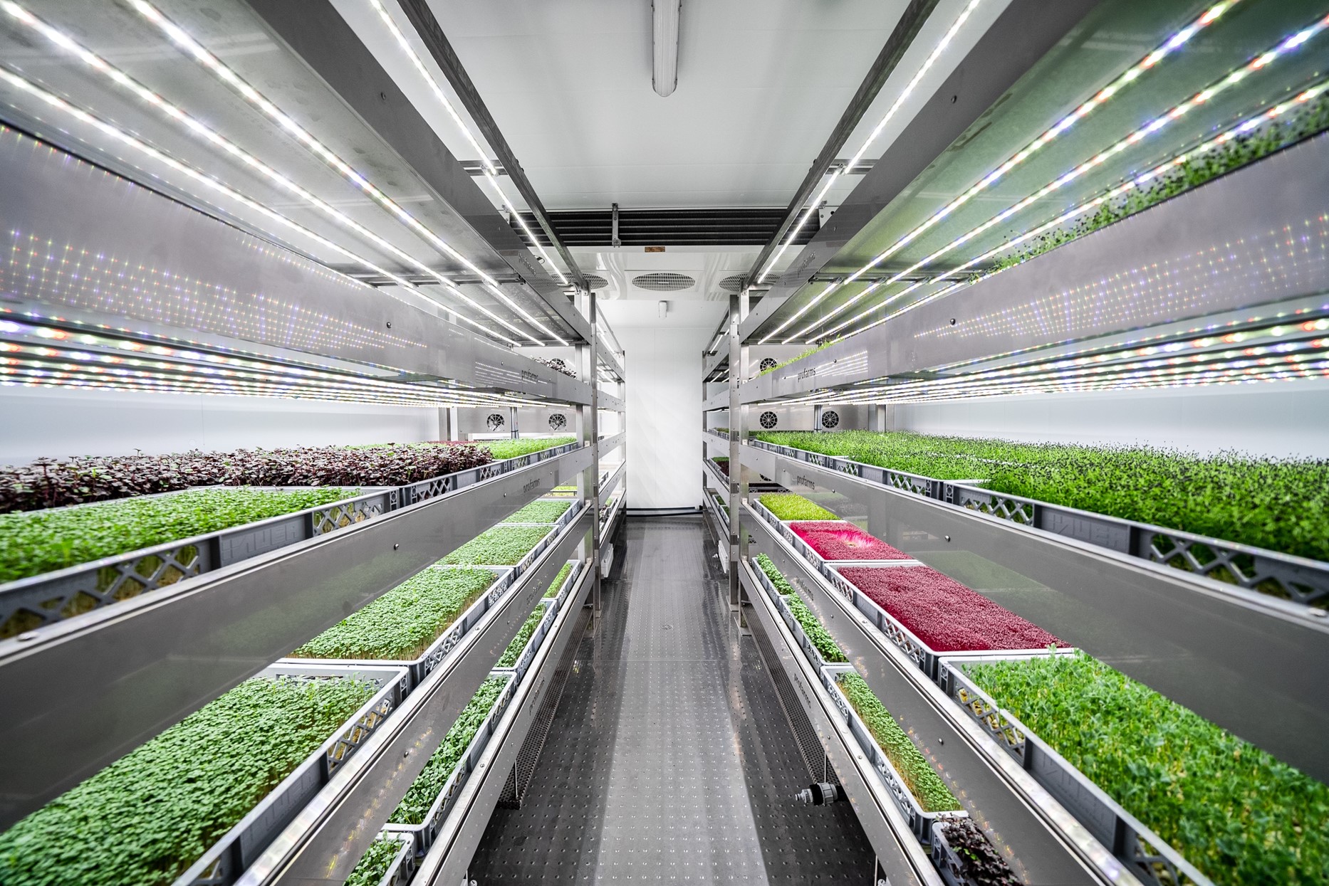 The Evolution of Vertical Farming