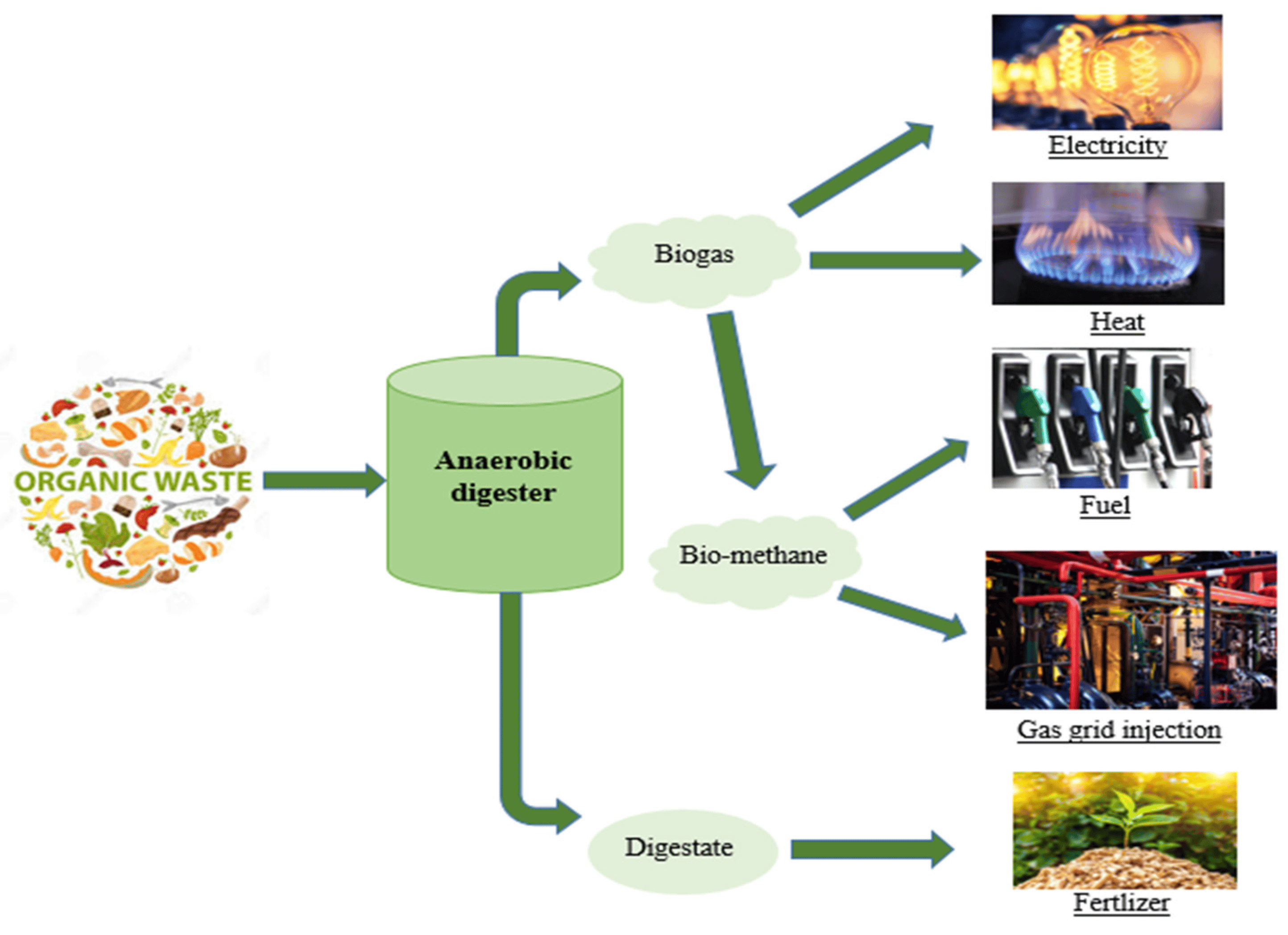 Waste-to-Energy Innovations in Biogas Production