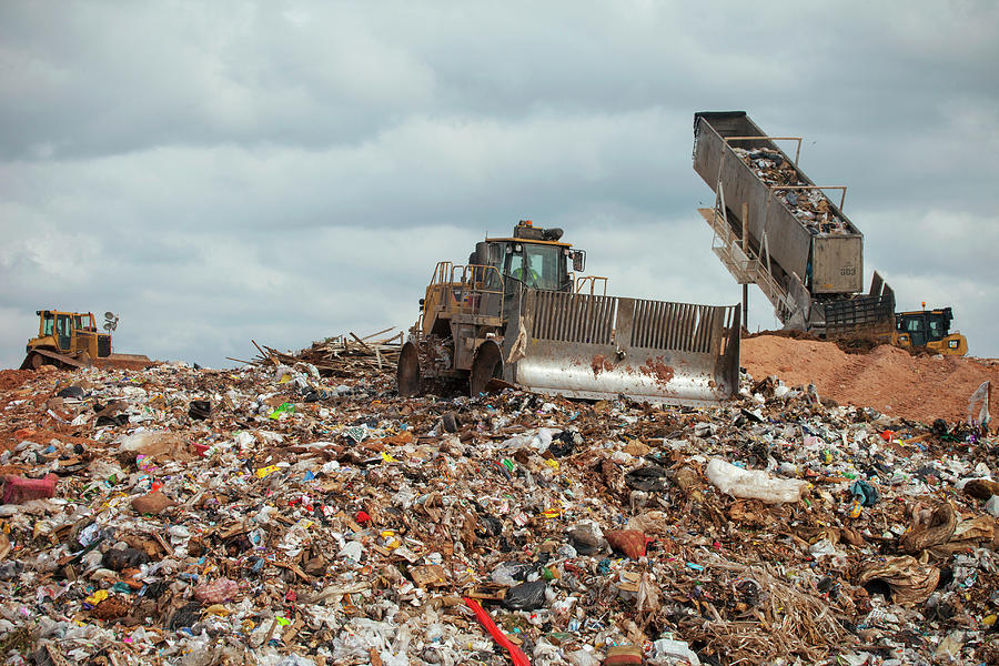 WtE and Biodiversity Conservation in Landfill Reclamation