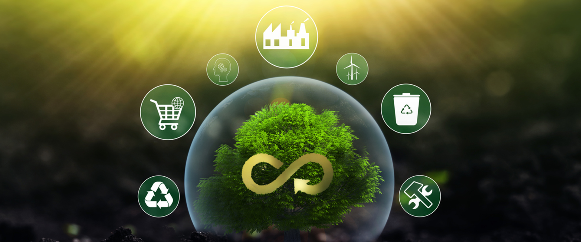 The Circular Economy Revolution: WtE as a Cornerstone