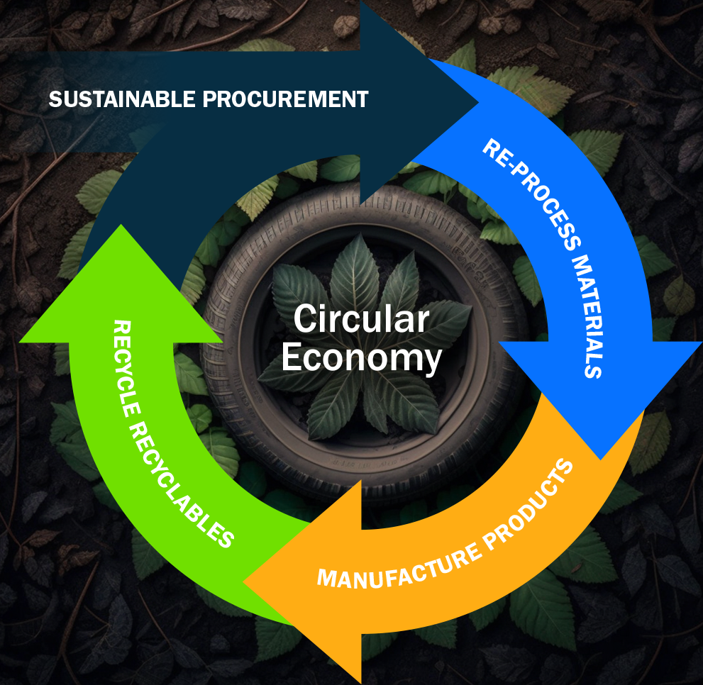 The Circular Economy Revolution: WtE as a Cornerstone