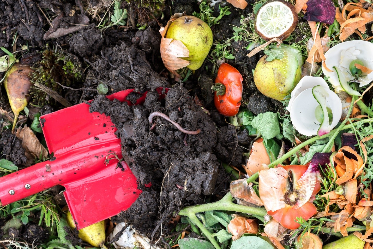 Composting: a Sustainable Way to Manage Organic Waste