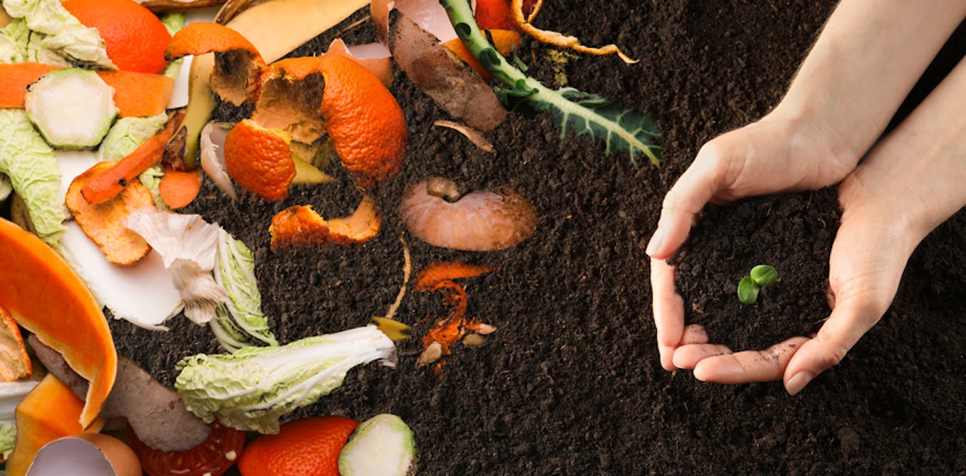 Composting: a Sustainable Way to Manage Organic Waste