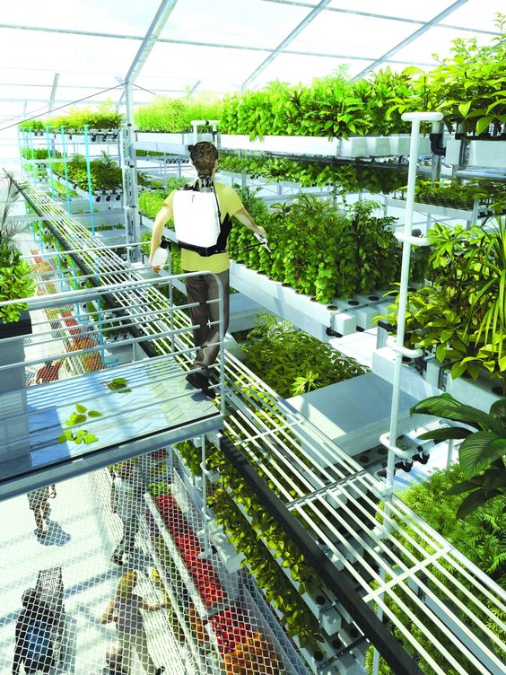 The Future of Vertical Farming