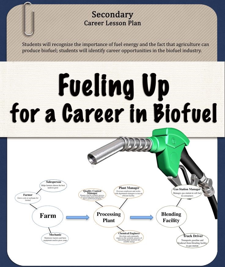 Leadership Lessons from the Biofuel Industry