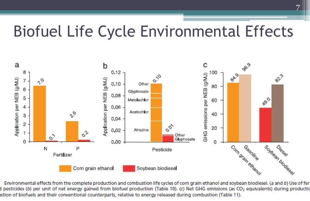 The Social Impact of Biofuels: A Thought Leader's Reflection