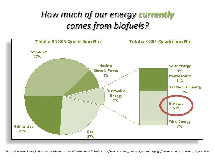 The Social Impact of Biofuels: A Thought Leader's Reflection