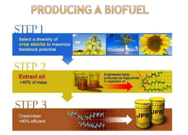 A Brief History of Biofuels