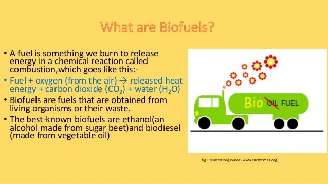 The Biofuel Revolution: Lessons from Trailblazing Leaders