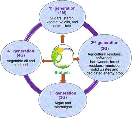 Biofuels and Geopolitics: Insights from Influential Leaders