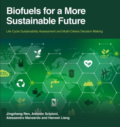 A Sustainable Future Powered by Biofuels: A Thought Leader's Vision