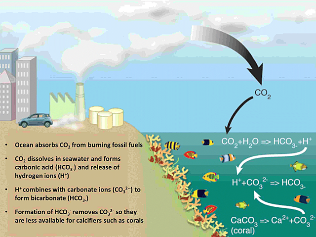 The Role of Ocean Energy in a Post-Fossil Fuel Era