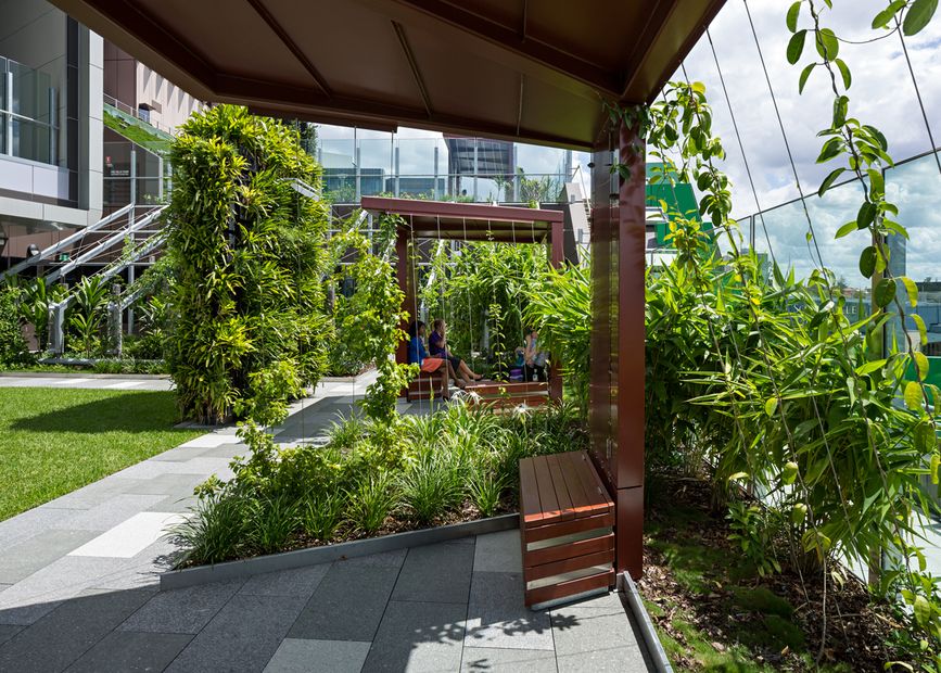 Vertical Gardens in Healthcare: Healing Environments of the Future