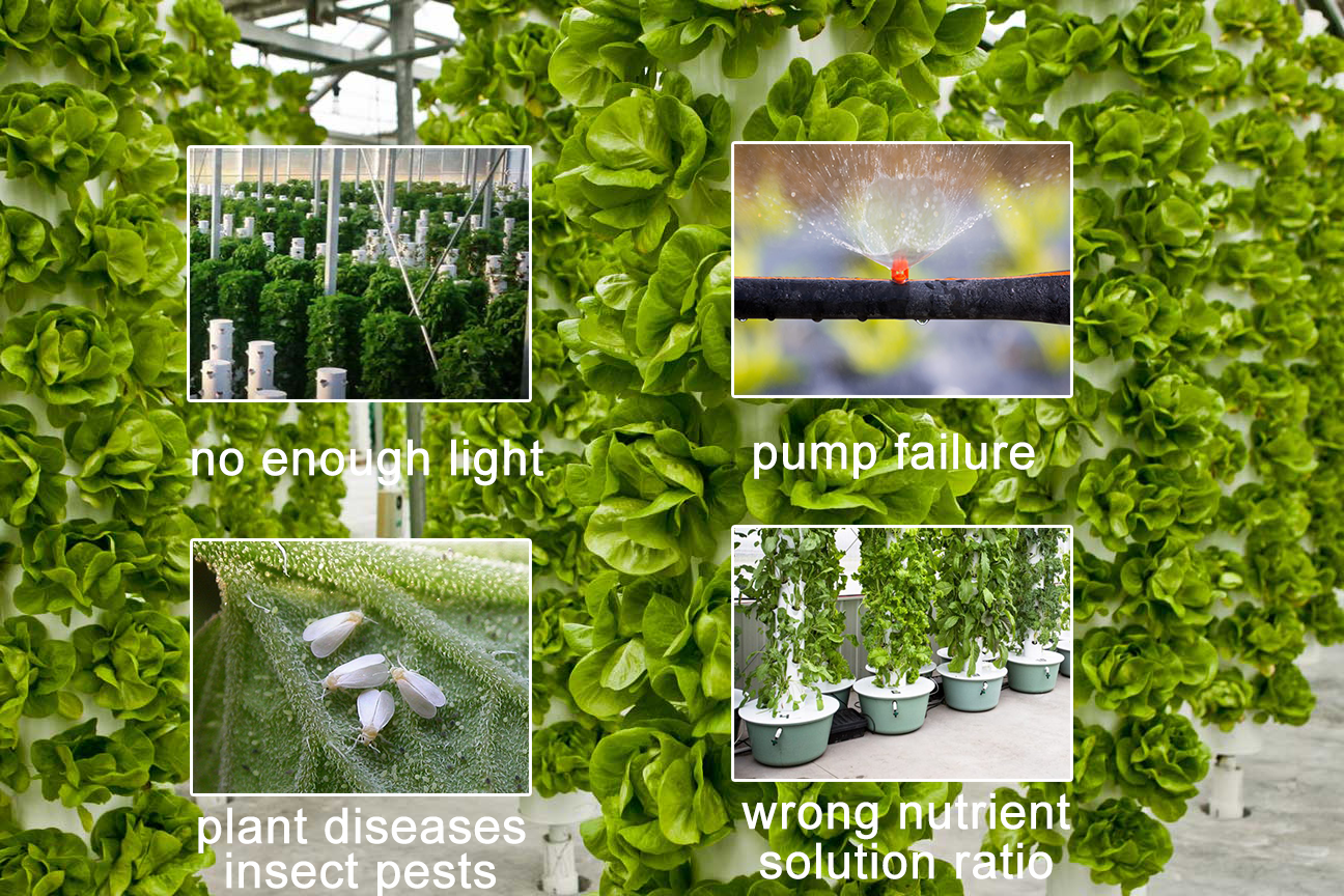 Troubleshooting Common Vertical Garden Issues