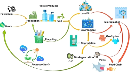 The potential of biodegradable plastics in waste reduction