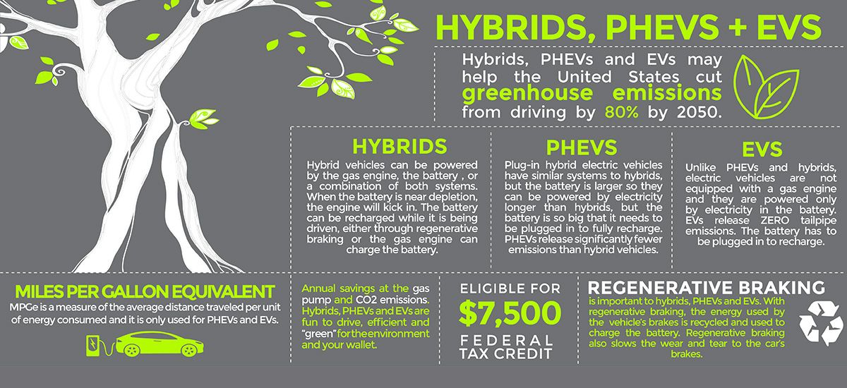 How to Choose the Right Eco Vehicle