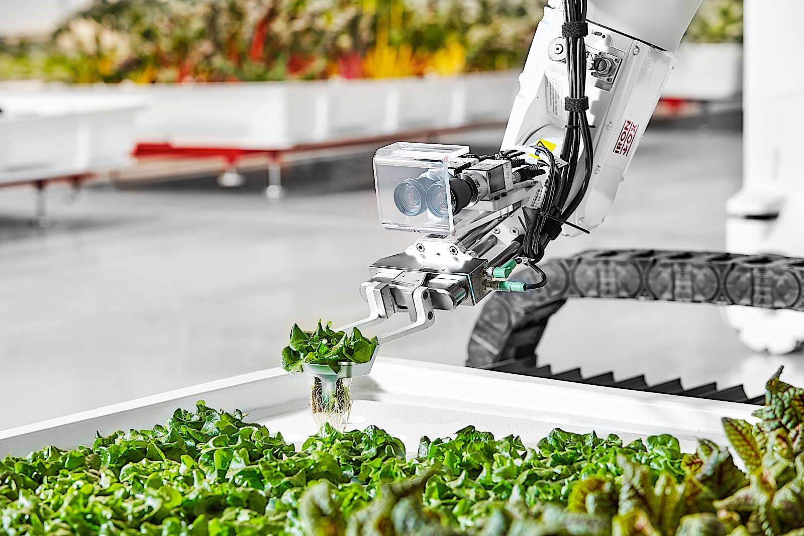 Vertical Farming and the Future of Controlled Environment Agriculture