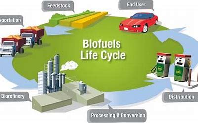 The Future of Biofuels: A Visionary Perspective