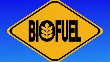 The Role of Innovation in Shaping the Biofuel Industry