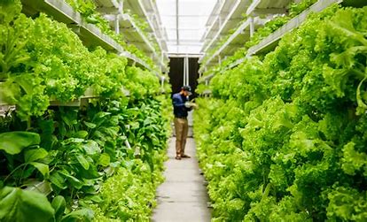 Vertical Farming and the Art of Crop Diversity