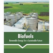 A Sustainable Future Powered by Biofuels: A Thought Leader's Vision