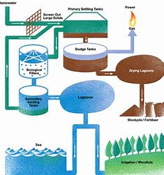 Biological Wastewater Treatment Methods