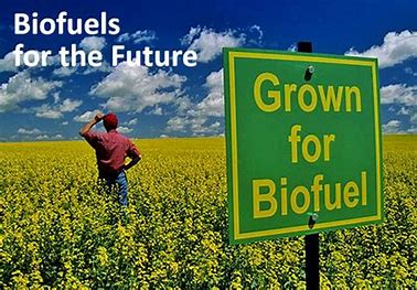 The Future of Biofuels: A Visionary Perspective