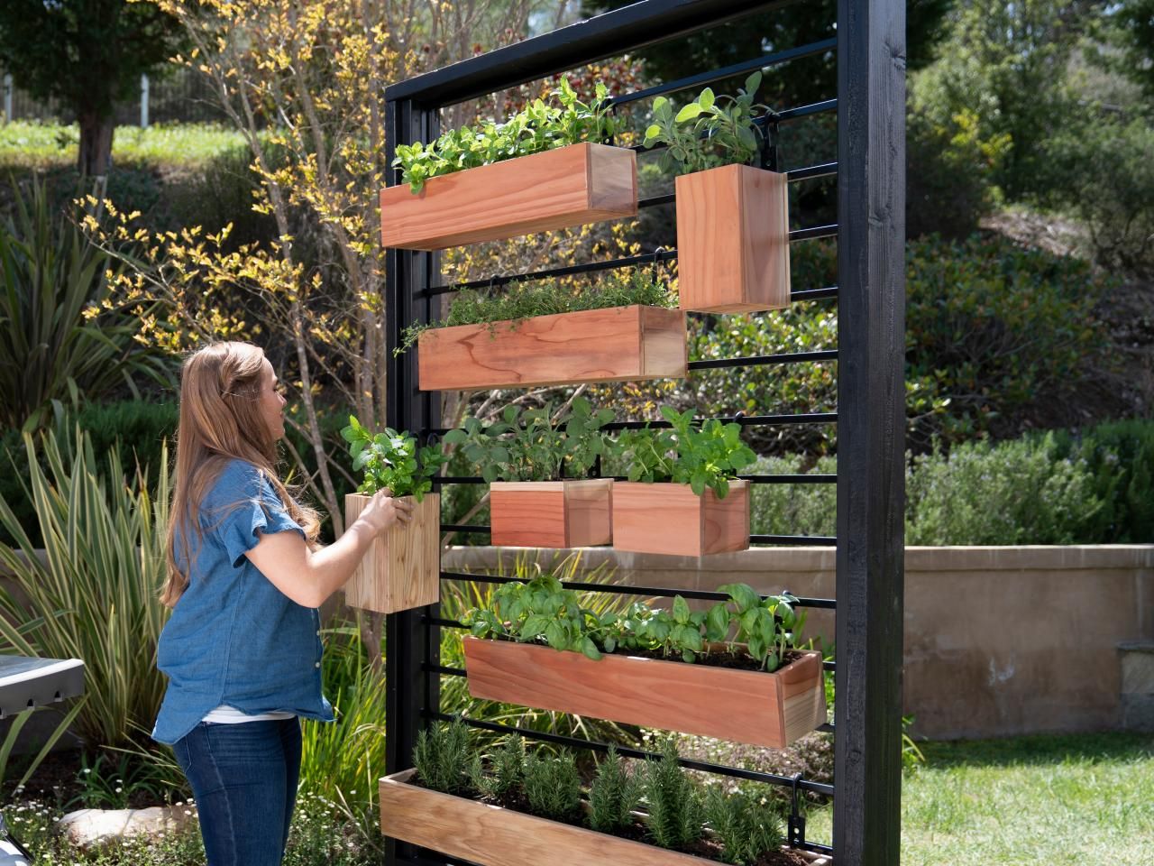 Vertical Gardens: A Sustainable Landscaping Solution