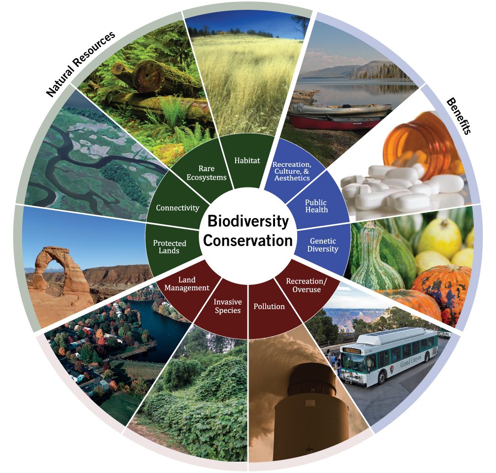 Wastewater Treatment and Biodiversity Conservation