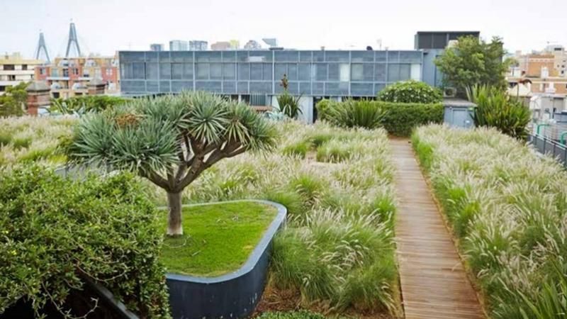 Vertical Gardens and Green Roof Synergy