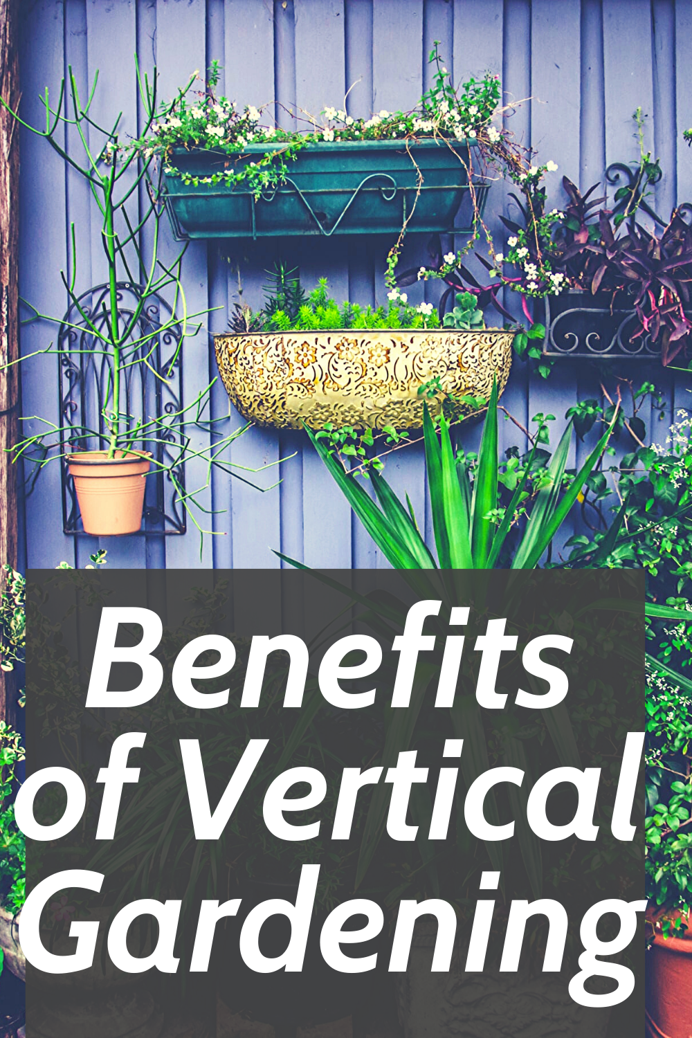 Therapeutic Benefits of Vertical Gardening