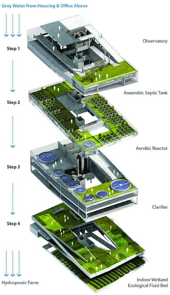 Vertical Farming: A Blueprint for Greener, Healthier Cities