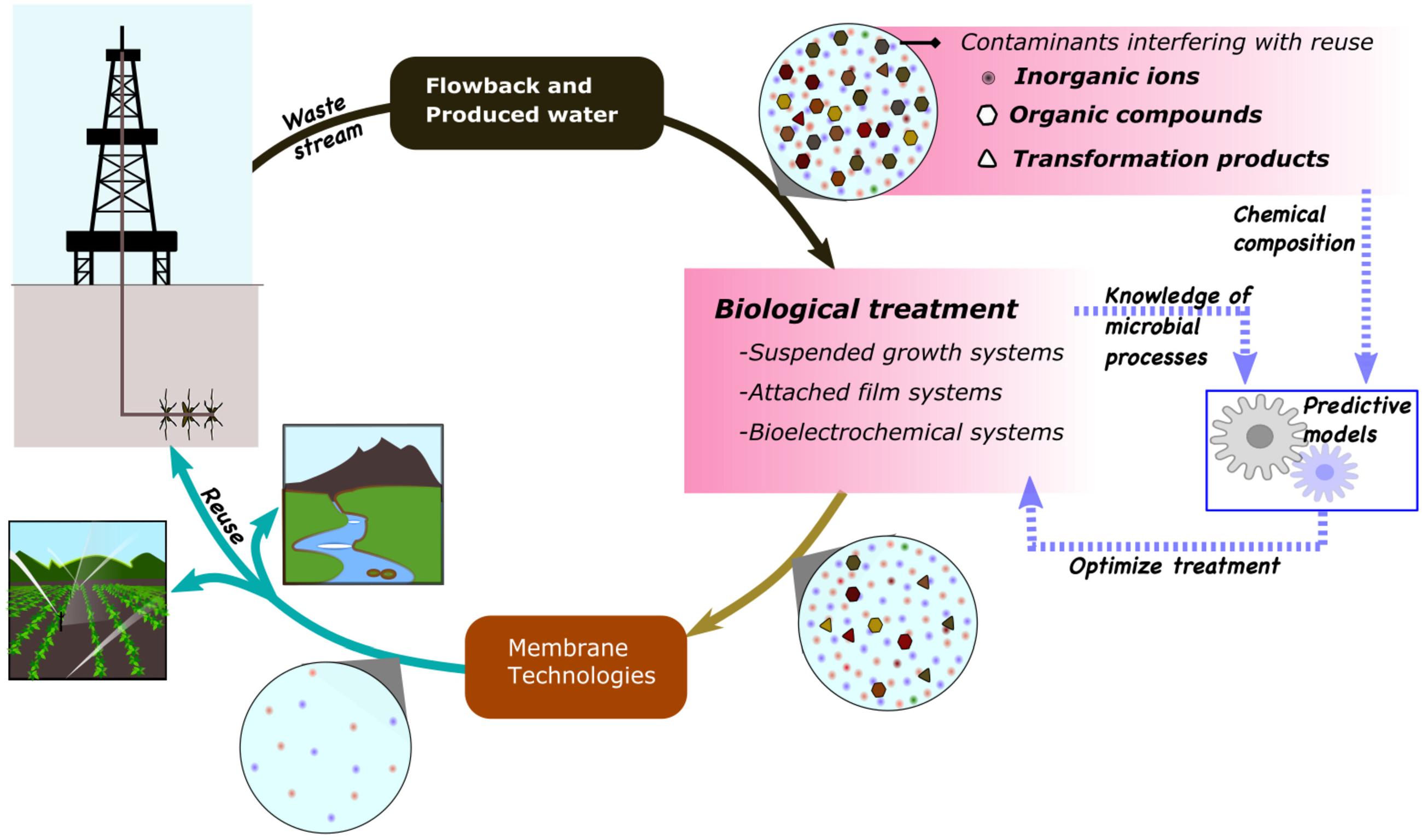 Biological Wastewater Treatment Methods