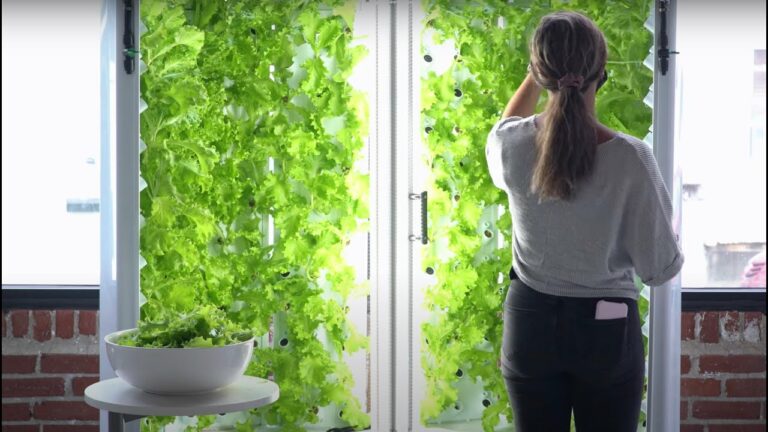 Vertical Farming and the Future of Food Education