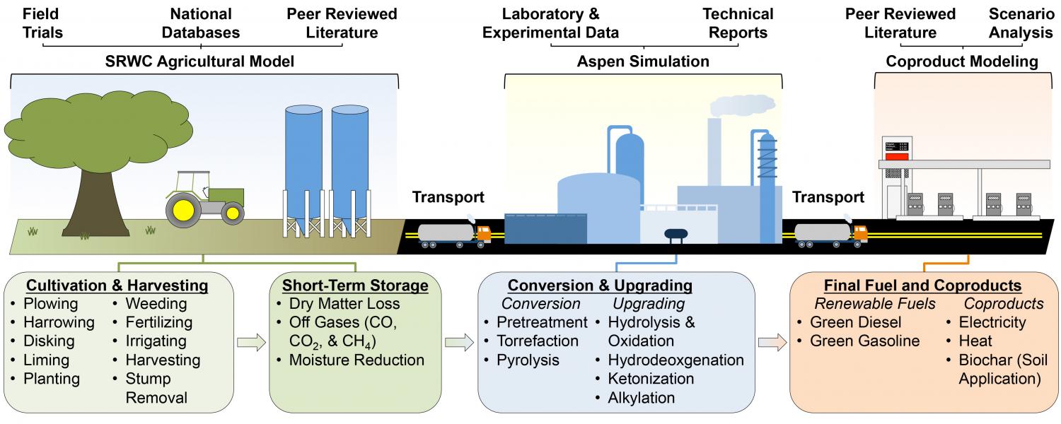 Biofuels' Role in Sustainable Development: A Thought Leader's Analysis