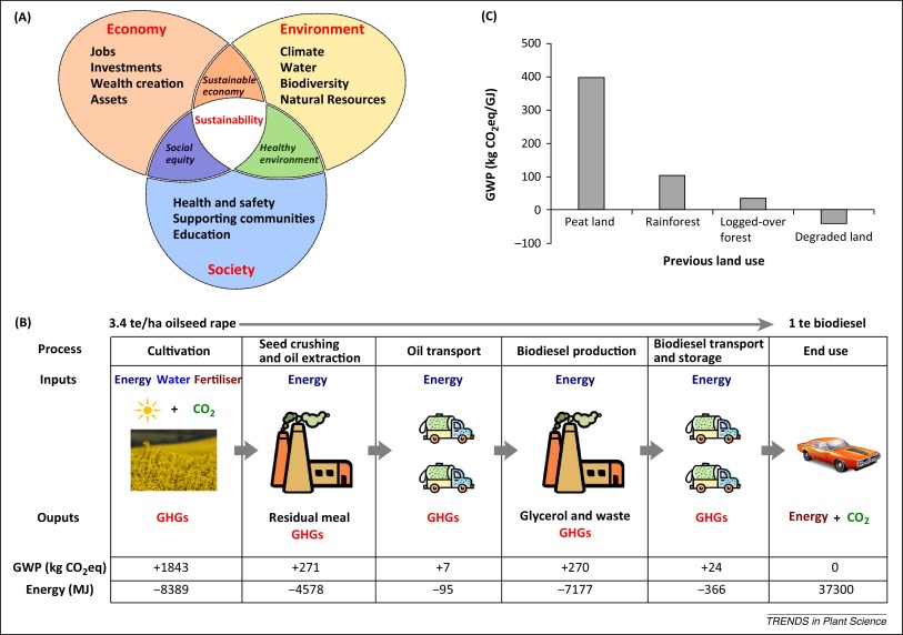 Sustainable Practices in Biofuel Production