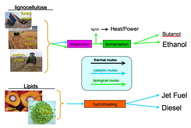 Crop Rotation and Biofuel Production