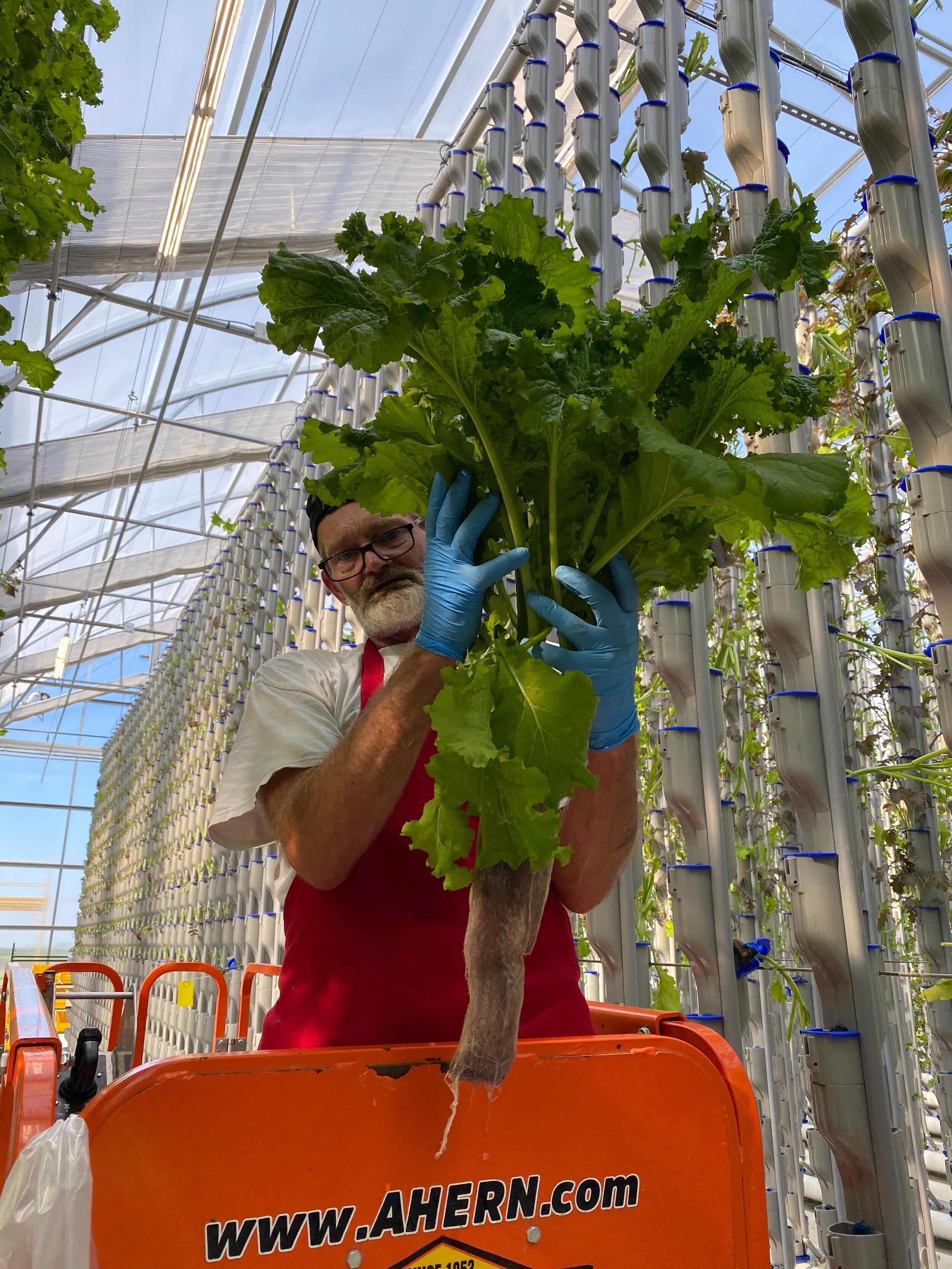 Vertical Farming Job Creation