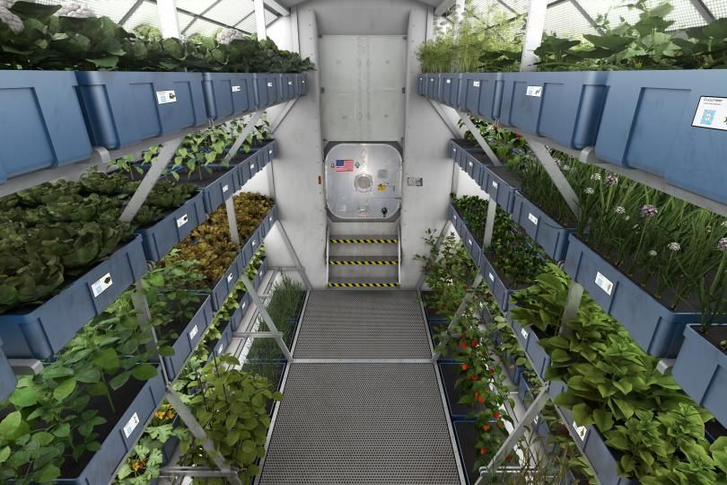 Vertical Farming and the Future of Space Exploration