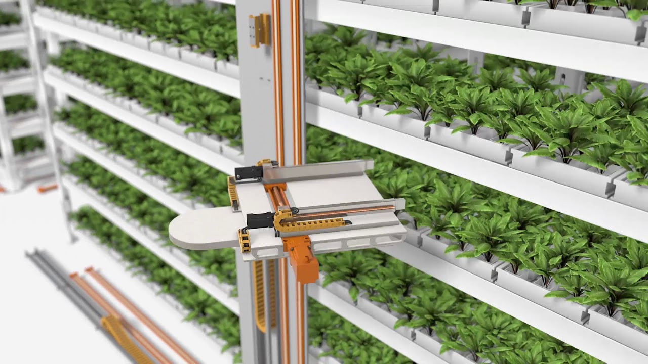 Automation in Vertical Farms