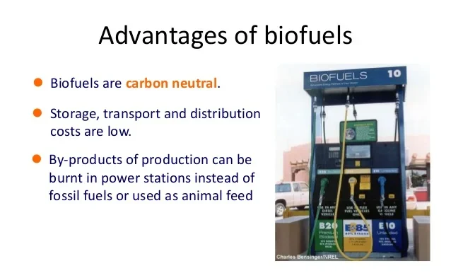 The Biofuel Revolution: Lessons from Trailblazing Leaders