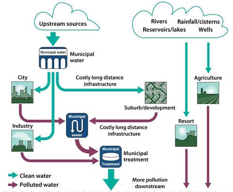 The Intersection of Wastewater Treatment and Environmental Conservation