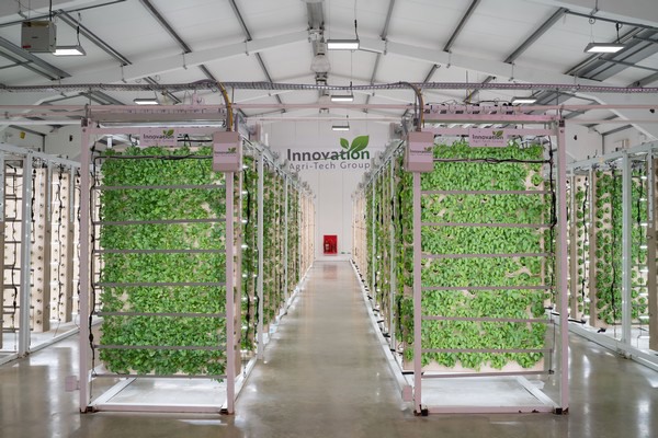 Vertical Farming: Reshaping Perceptions of Agriculture