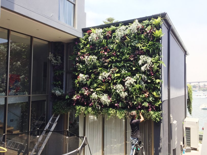 Vertical Gardens as Business Ventures